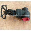 API602 Forged Steel Pressure Seal Thread End NPT Gate Valve